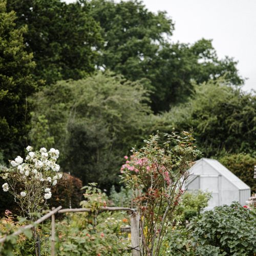 annie-spratt-Ei5sp_gCriA-unsplash